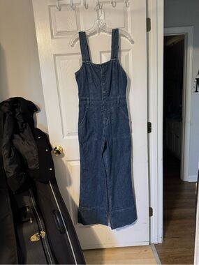 aerie Dark Blue Denim Button-Front Overalls